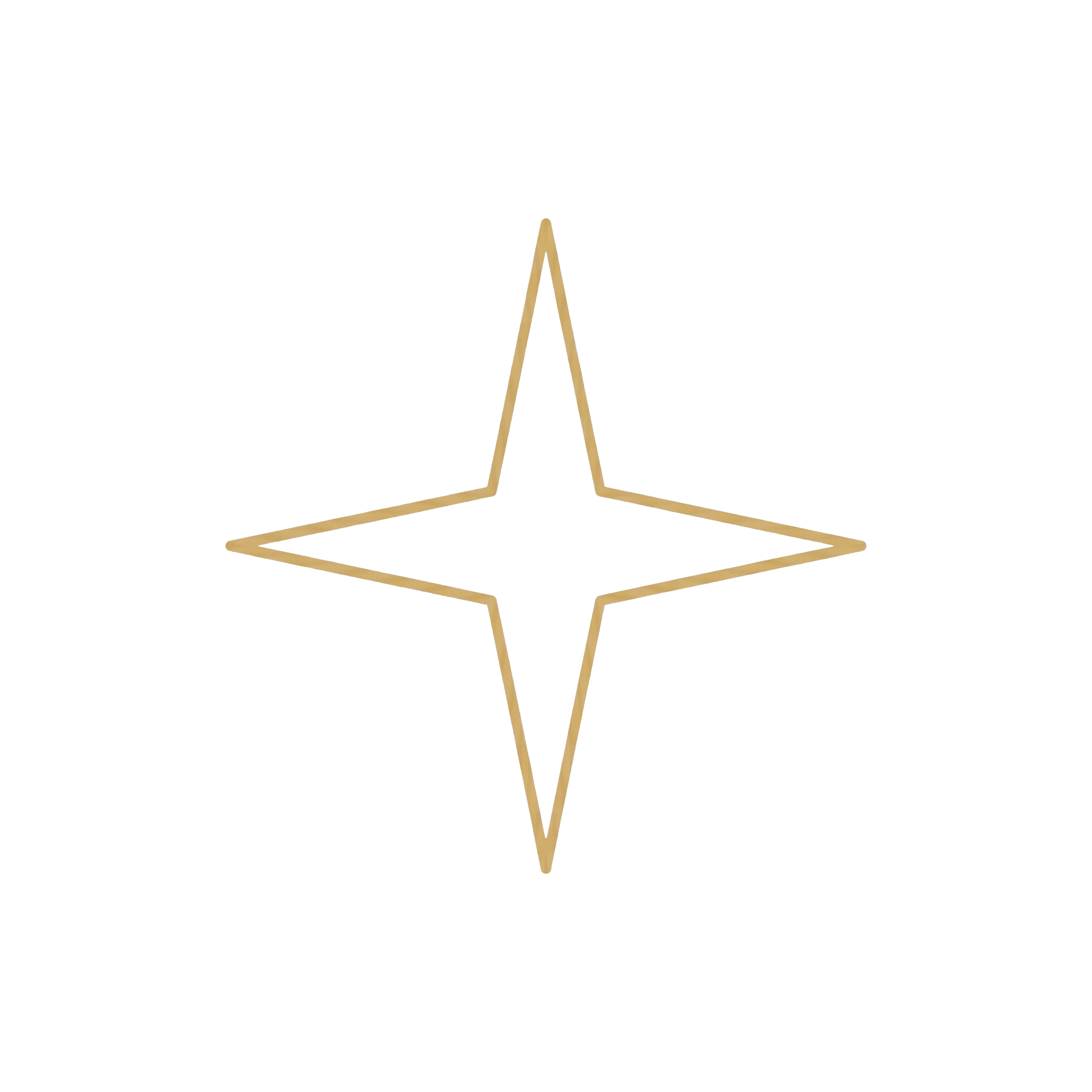 Branding icon